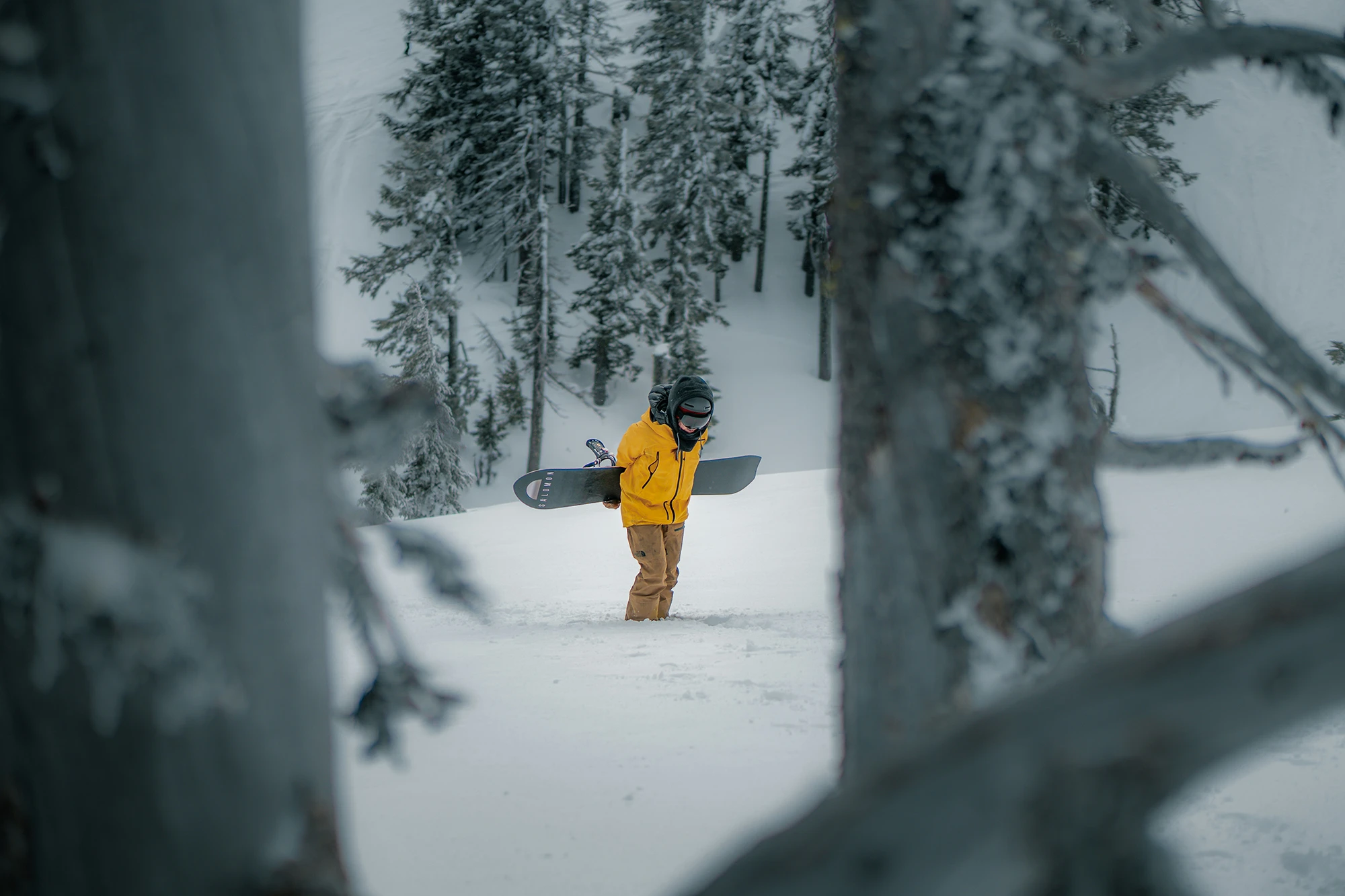 Mężczyzna idzie przez las z deską snowboardową